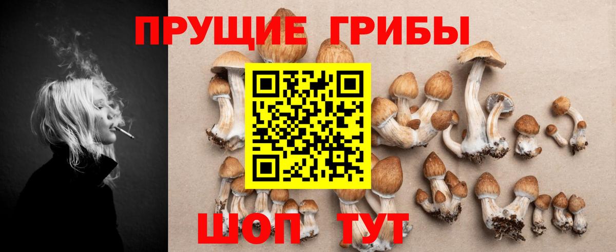 наркотики  Галлюциногенные грибы Psilocybine cubensis  Вход с VPN  Людиново 